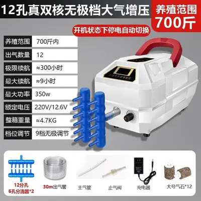 Rechargeable Outdoor Oxygen Pump, Lithium Battery, AC/DC - 12