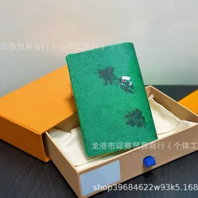 Passport holder, multi-card slots, bifold storage, portable