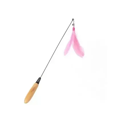 Cat Teaser Wand Long Pole Feather Replaceable Head, Bite Resistant - 10