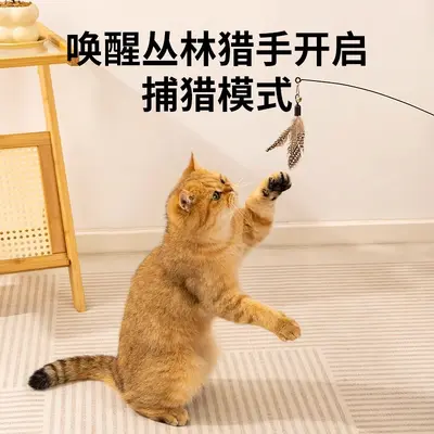 CFA Cat Teaser Wand, Long Pole, Feather Replacement Head, Bite-Resistant - 3
