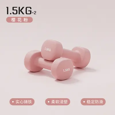 Plastic Coated Mini Dumbbell Solid Cast Iron for Women and Kids - 11