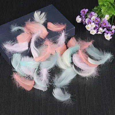 36 Colours Small Dyed Swan Feathers for DIY Jewelry - 9
