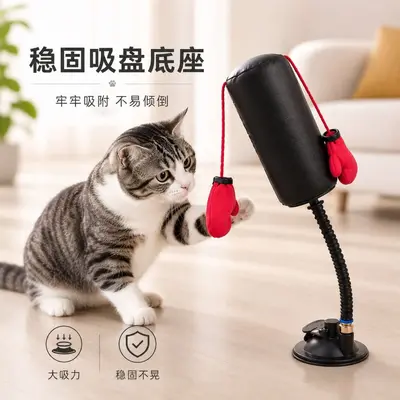 Katzen-Boxhalter mit Feder, selbstbeschäftigendes Innenraum-Katzenspielzeug - 2