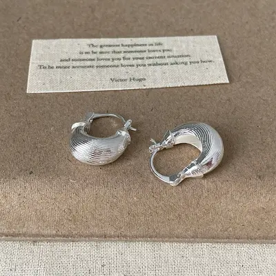 Europäische und amerikanische Ohrringe im ovalen Stil für Frauen, 925er Silberstift-Ohrringe, einfache modische elegante Geschäftskleidung, Nischen-Design, elektrolytisch vergoldet - 13