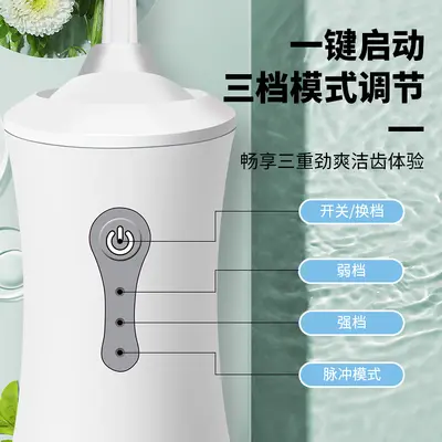 Electric Water Flosser, Portable Handheld, Tartar Removal - 2