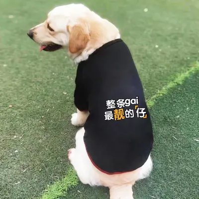 Yaz için kollu ince evcil hayvan kıyafeti, orta ve büyük ırk köpekler için nefes alabilen