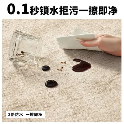 Washable Wipe-Clean Living Room Rug, Non-Slip Sofa Coffee Table Floor Mat