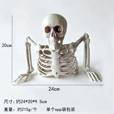 Half-Body Halloween Skeleton Decoration for Party and Escape Room - 7