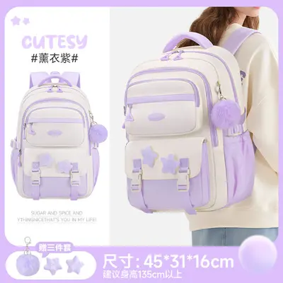 School Backpack Large Capacity Lightweight Trolley Sleeve - 12