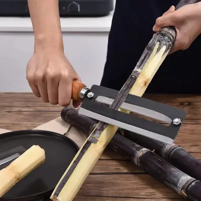 High Carbon Steel Vegetable and Fruit Peeler Knife