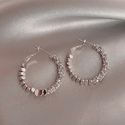 Gümüş iğne ışığı lüks üst düzey küpeler niş kişilik tasarımı kadınlar için abartılı küpeler moda mizaç küpeler toptan - 9