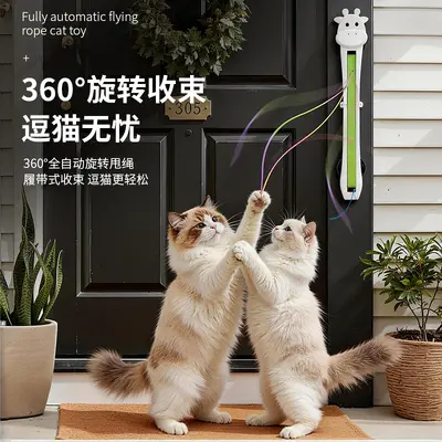 Wall-Mounted Automatic Cat Teaser with Flying Rope - 4