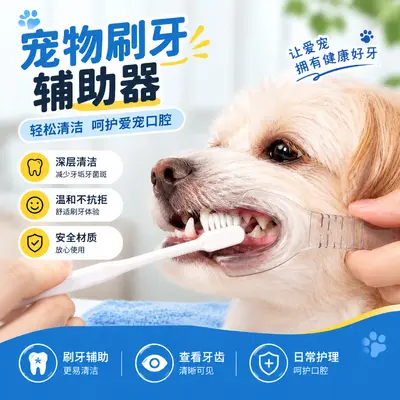 Köpek diş temizleme seti, ağız açıcısı ve diş taşı temizleyici - 2