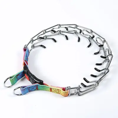 Abnehmbares Metall-Trainingshalsband für Hunde mit Eisenschnalle - 10