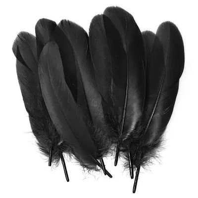 White Goose Feathers, Kindergarten Craft and DIY Jewelry Material - 7