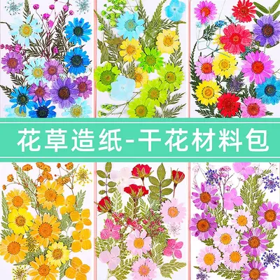 Getrocknete Pressblumen-Materialpaket für DIY-Epoxidharzprojekte