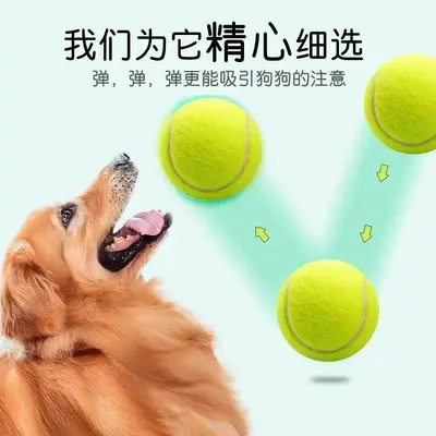 Dayanıklı ısırmaya karşı köpek topu, dış mekan, elastik, büyük ve küçük ırklar için - 3