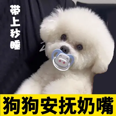 Pacifier Chew Toy for Bichon Frise, Soothing Toy for Small Breed Puppies - 6