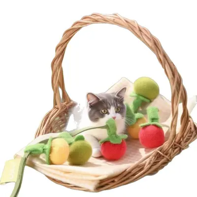 Cat teaser toy, tomato beads with bell - 5