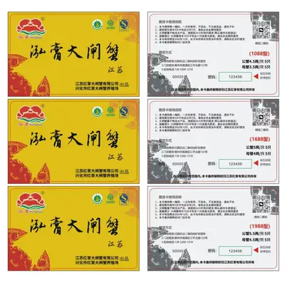 Rubbel-Preiskarten, bedruckter Kartonpapier-Lotterieschein - 11