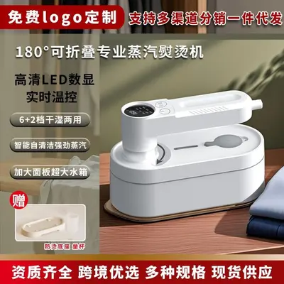 跨境新品电熨斗家用蒸汽烫斗大功率手持挂烫机烫衣服干湿两用挂烫