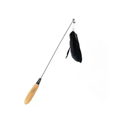 Cat Teaser Wand Long Pole Feather Replaceable Head, Bite Resistant - 8