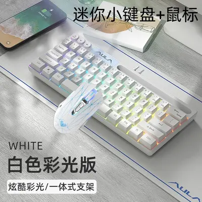 AULA F3061 Mini Mechanical-Feel Wired RGB Keypad, 61 Keys - 12