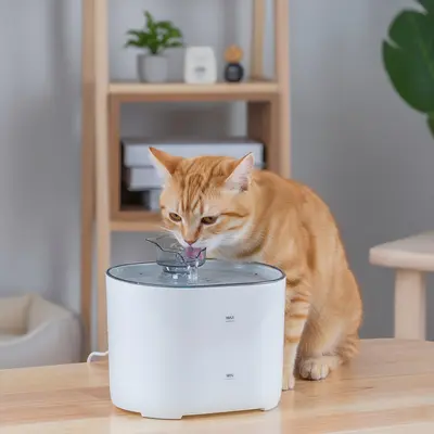 Smart Pet Water Fountain, Automatic Circulating, 2L Capacity for Cats and Dogs