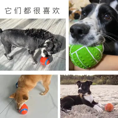 Latex Dog Toy Set with Rugby, Football and Volleyball, Squeaky Balls - 3
