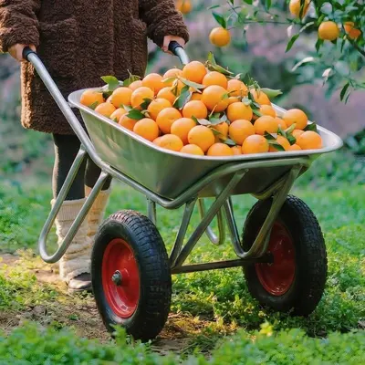 Single-Wheel Farm Wheelbarrow, Construction Site Transport Cart