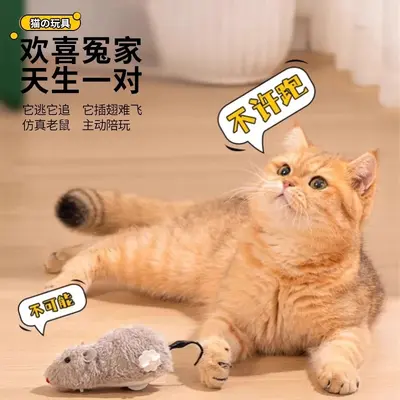 Realistic Electric Mouse Cat Toy 2-Piece Set - 5