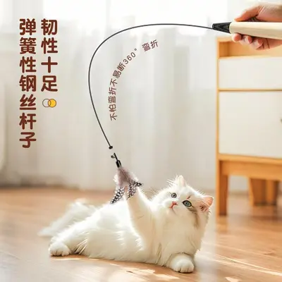 CFA wooden-handle cat teaser wand replacement head feather cat toy solid wood pole steel wire chew-resistant cat self-play pet supplies