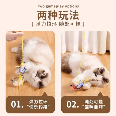 Kedi oyuncağı kuş seslerini simüle eder, kendi kendine eğlence, can sıkıntısını giderir, ısırmaya dayanıklı kedi çubuğu, enerji tüketir, yavru kedi oyuncağı, evcil hayvan malzemeleri - 5