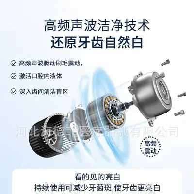Fully Automatic Rechargeable Sonic Electric Toothbrush for Women and Men
