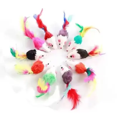 Catnip Ball Cat Toy Set with Mouse and Teething Stick - 10
