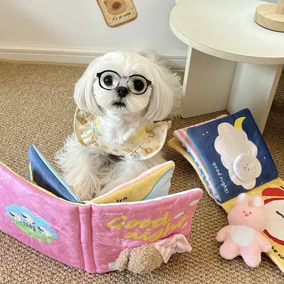 Pet Sniffing Book, Puzzle Toy for Cats and Dogs, Plush with Squeaker - 5