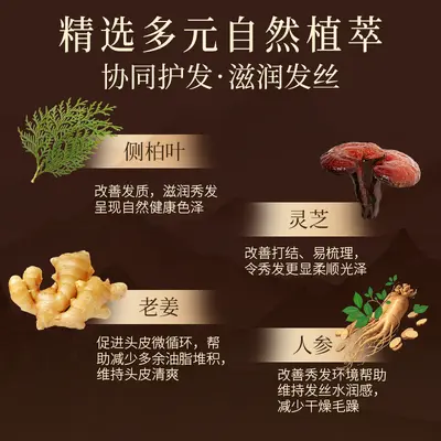 Heshouwu Ginseng Kräuter-Shampoo-Paste mit Ingwer, ölkontrollierend - 4