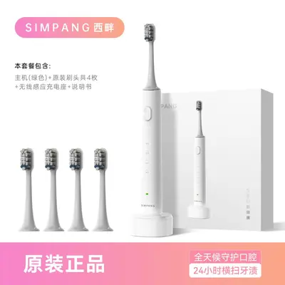 Sonic electric toothbrush, wireless induction charging