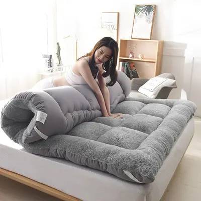Lamb wool polar-lined thickened bedding winter soft pillow home double bed quilt floor mat bed student dormitory tatami - 2