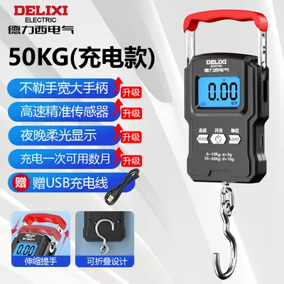 Delixi portable electronic scale - 10