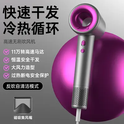 High-Speed Electric Hair Dryer, Home and Salon Type, Constant Temperature, High Power