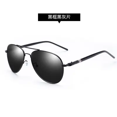 209 Polarized Photochromic Sunglasses, Day and Night Use, for Driving - 8