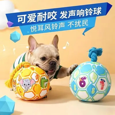 Plüsch-Ball-Hundespielzeug mit Quietscher, für kleine Rassen