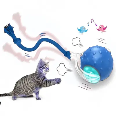 Cross-border Durable Bite-resistant Automatic Interactive Cat Toy Ball Self-entertaining Stress Relief Cat Play Toy Bouncing Ball Pet Supplies
