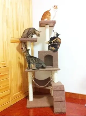 Fabrika doğrudan satış toptan ısmarlama evcil hayvan malzemeleri kedi oyuncakları kedi tırmanma çerçevesi kedi tırmalama tahtası kedi ağacı 23 gri - 3