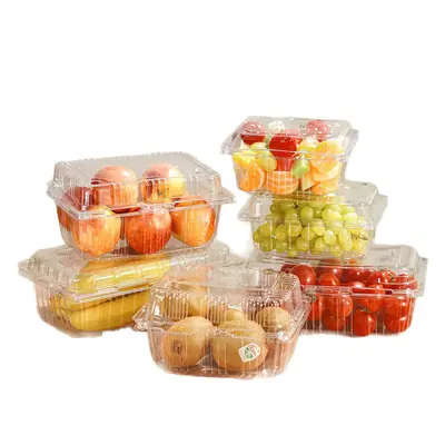 Einweg-Obst-Verpackungsbox mit Deckel, Frischgemüse-Kunststoffverpackungsbox, PET-Lebensmittelqualität, transparente Obstschnittbox - 6