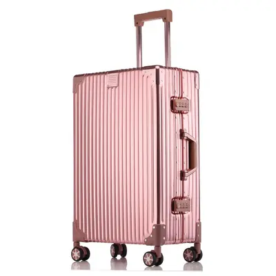 All-Aluminum Magnesium Alloy Trolley Case, Spinner Wheels, 20 and 28 Inch - 13