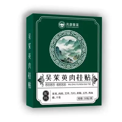 Wuzhuyu Mugwort Navel Patch with Sichuan Pepper Herbal Extract - 11
