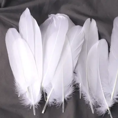 White Goose Feathers, Kindergarten Craft and DIY Jewelry Material