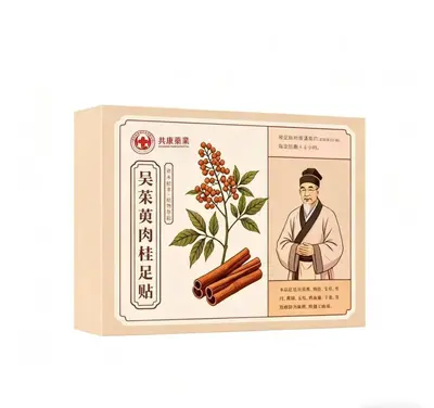Wuzhuyu Mugwort Navel Patch with Sichuan Pepper Herbal Extract - 10